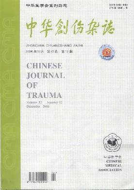 中华创伤封面